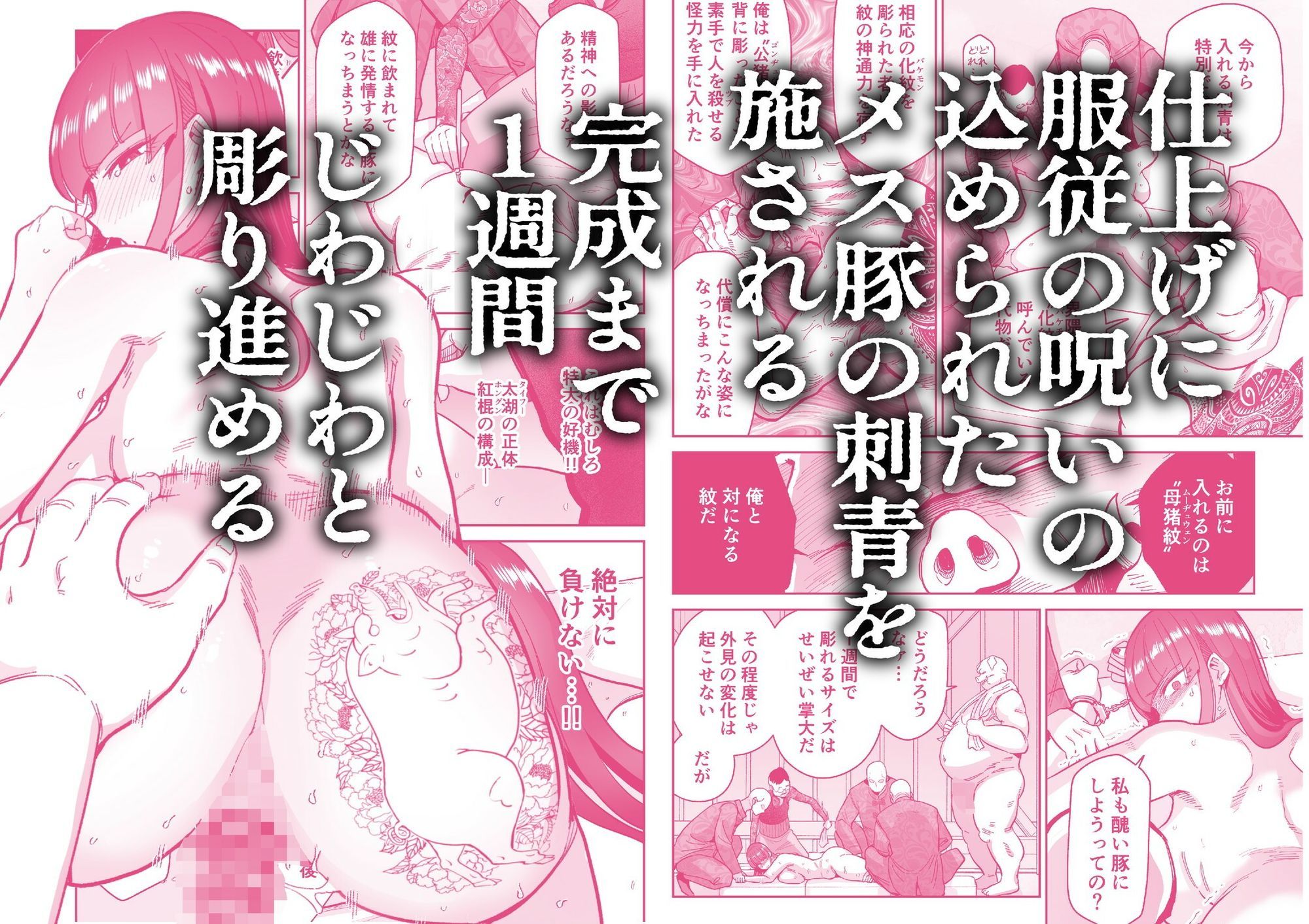 雌豚紋紋 無料サンプル